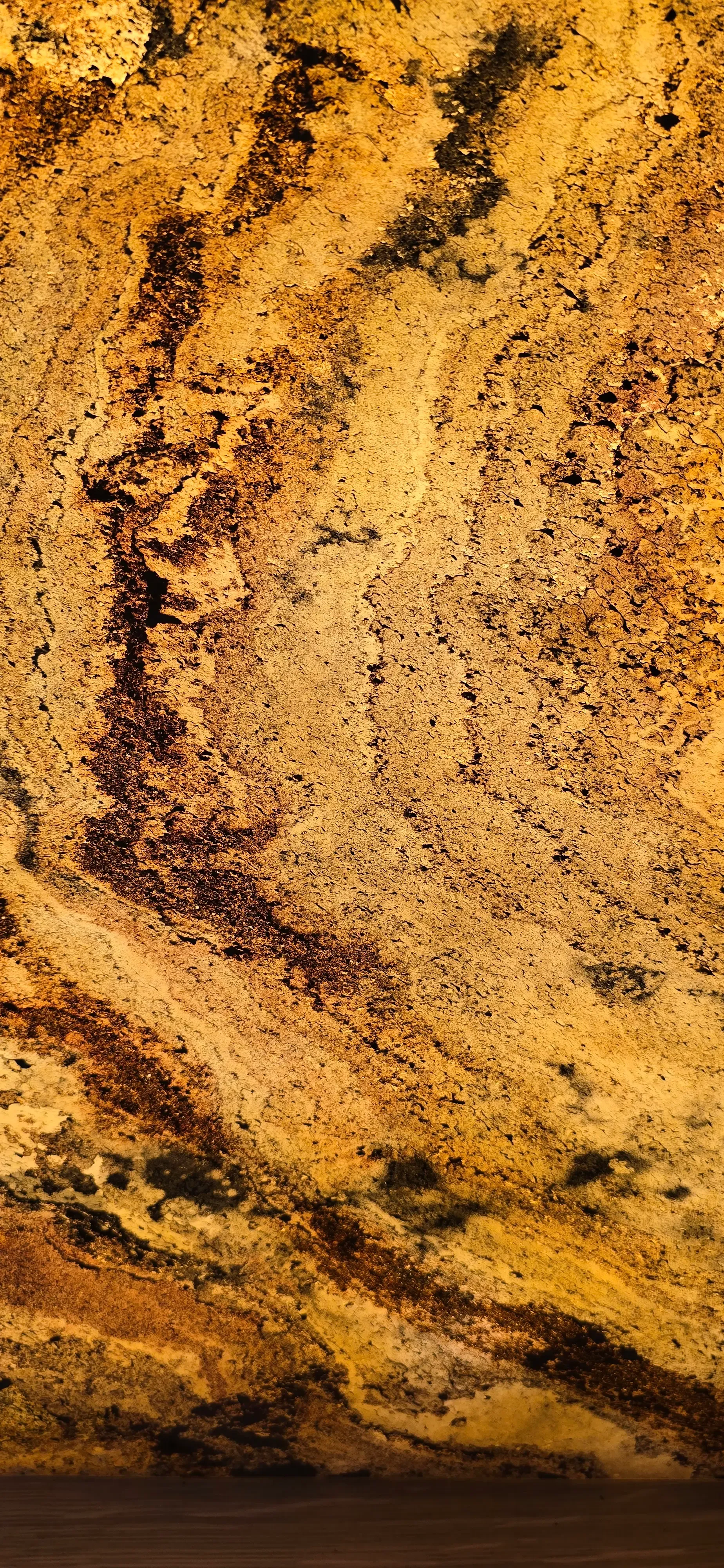 Photo du restauraurant Yumemi